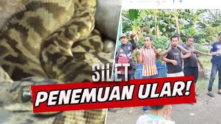 Ular Sanca Berjumlah Belasan Ekor Ditemukan Warga Di Rumah Kosong!! | SILET