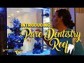 Introducing: Pure Dentistry Reef | Gallery Aquatica TV