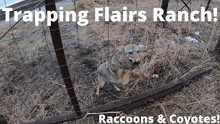 TRAPPING FLAIRS ABANDONED RANCH VLOG 13