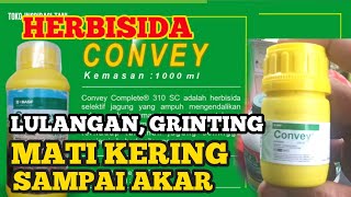 HERBISIDA UNTUK RUMPUT LULANGAN DAN GRINTING