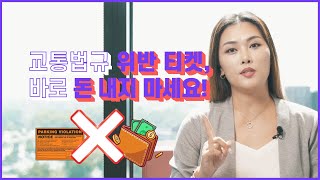 교통 티켓 벌금 내도 불이익 받는다?! 😱| 보험료 아끼는 꿀팁! | 티켓 받았다고 무조건 벌금 내지 마세요! 🙅🏻🙅‍♂️🙅🏽‍♀️