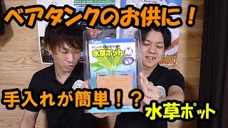 ★商品レビュー★水草ポッド【大分グッピーファンクラブ】