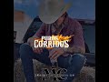 1 Hora De Puros Corridos Pa' La Raza