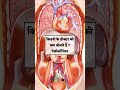 kidney में पथरी किस कारण होती हैं viralshort biology medicineinformation education science