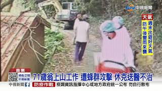 嚇! 野蜂築巢比籃球大 71歲翁遭螫休克死亡│中視新聞 20211002