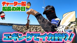 陸っぱりでエギングでイカ釣る1日【船長の休日】