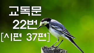 교독문낭독 22번 시편 37편 [Heritage of faith]