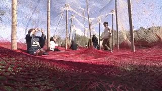 多くの人で県北ににぎわい「森の芸術祭　晴れの国・岡山」各会場で堪能できる“新たな魅力”を紹介【岡山】 (24/10/14 18:00)