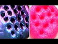 Relaxing Slimes - Most Satisfying ASMR Compilation (#22) Lourraine Slime