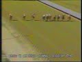 1991 all american futurity g1