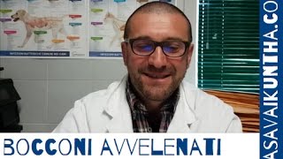 BOCCONI AVVELENATI: INTERVISTA COMPLETA