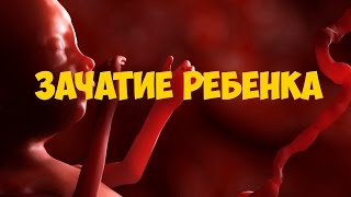 Зачатие ребёнка!!!Потрясающее видео