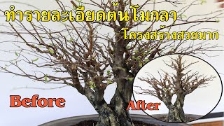 Bonsai Station [Workshop Station] EP.87 ทำรายละเอียดโมกลาง่าม โครงสร้างสวย