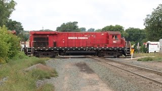 Morning railfanning in New Brighton, MN feat L506, MNNR 1983 \u0026 2002 CP, CN MNNR \u0026 more 9/10/2022