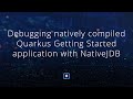 Debugging natively compiled Quarkus Getting Started application with NativeJDB