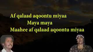 afqalad aqoontu miyaa | afqalad aqoontu miyaa lyrics | heestii afqalad aqoontu miyaa