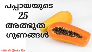 #25 Benefits Of Papaya Malayalam ||#25 പപ്പായയുടെ അത്ഭുത ഗുണങ്ങൾ|What The Papaya Contains|