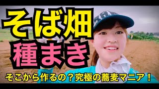 【蕎麦栽培】そば畑で種まき【オソバイオリニスト】