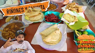 The BEST AREA to eat KIDNEYS and CARNITAS | The garnacha that pampers