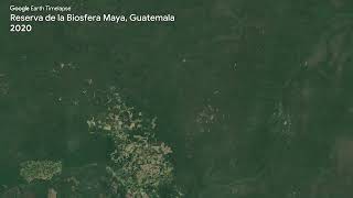 Reserva de la Biosfera Maya, Guatemala - Earth Timelapse