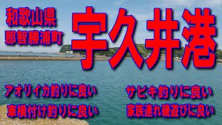 #23和歌山県宇久井港ファミリー家族連れ磯遊び釣りに良し車横付け釣りに良し手軽に磯釣り出来ますファミリー家族連れサビキ釣りに良し階段を上ると素敵な磯があります沖の堤防に数人の釣り人がいます釣りポイント