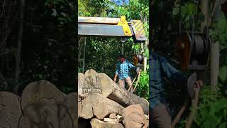 🔥Kerala Forest Teakwood 🔥#viralvideo #trending #shorts