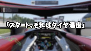 「スタート、それはタイヤ温度」 [F1 2019][PS4]