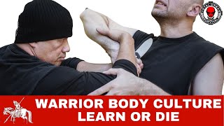 Human Movement and Warrior Body Culture (Martial Arts)
