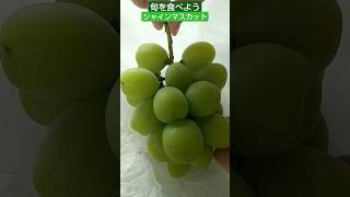 激甘【シャインマスカット】旬を食べる