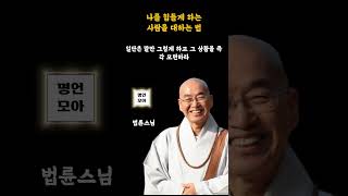 지금 누군가 당신을 힘들게 한다면ㅣ법륜 스님의 현실적인 인생 조언 삶의 지혜 불교 명언 오디오북 #쇼츠 #shorts