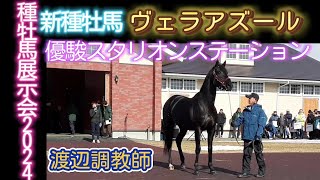 ヴェラアズール 新種牡馬 優駿スタリオンステーション 種牡馬展示会2024