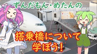 【ずんだもん】搭乗橋について学ぼう！【空港解説】