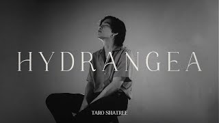 TARO SHATREE - Hydrangea (ไฮเดรนเยีย) [Official Video]