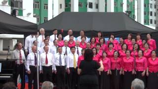 20120819 香港華僑華人總會合唱團表演(15)