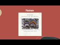 Pizzicato - Modern Mandolin Quartet