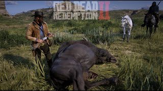 APRENDENDO A CAÇAR BISÃO NO- RED DEAD REDEMPTION 2