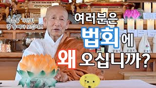 [기후스님 법문] 갑진년에는 법회에 참여하는 의미를 되새겨 보십시오.