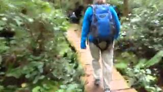 video4.mov: ONP Day 6 - Ozo Beach Triangle Hike