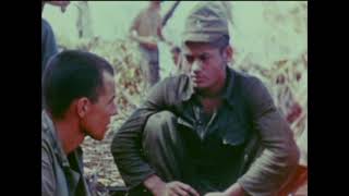 1st Marine Division on Peleliu World War II in Color 1944 (Part 1)