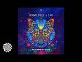 Atomic Pulse & E-VO - Psychedelic Love