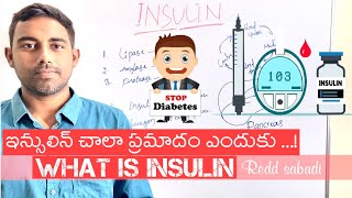 What is INSULIN || Why Insulin so BAD|| ఇన్సులిన్ చాలా ప్రమాదం ఎందుకు…!