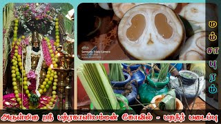 Mamsapuram | அருள்மிகு ஸ்ரீ பத்ரகாளியம்மன் கோவில் | சித்திரை மாத பதநீர் படைப்பு திருவிழா | 2021