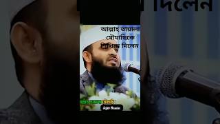 আল্লাহ তায়ালা মৌমাছিকে শিখিয়ে দিলেন।। মিজানুর রহমান আজহারি।