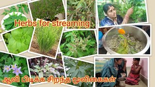 #best herbs for hot water streaming #ஆவி பிடிக்க சிறந்த மூலிகைகள் #corona health tips #shree organic