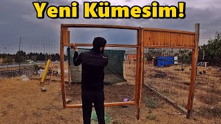 Yeni Kümese Başladık!-Büyük Bir Kümes Olacak!#Kümes#Tavuk#Horoz