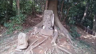 【夫婦で健康まち歩き】　横浜市都筑区の山田富士