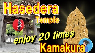 【Hasedera Kamakura】How to enjoy Hasedera temple Kamakura Japan sightseeing 20 times more