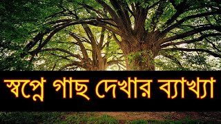 স্বপ্নে গাছ দেখার ব্যাখ্যা । Dreaming trees and their meanings