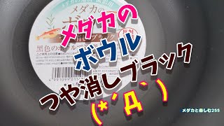 【メダカ】メダカの撮影♪セリアのつや消しブラックと受け皿 (*´Д｀)【紅白＆三色　ラメ　幹之(体外光)】