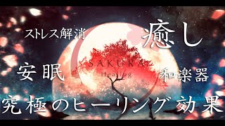 桜men / 自律神経が整う究極のヒーリングミュージック「SAKURA Healing」